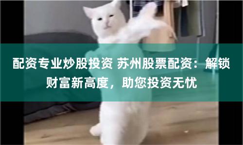 配资专业炒股投资 苏州股票配资：解锁财富新高度，助您投资无忧